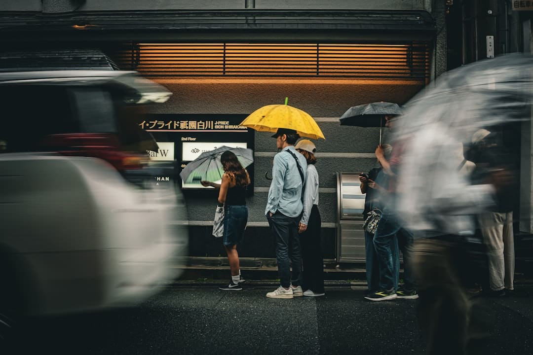 王星越白鹿欢喜冤家互动揭秘:从《周生如故》到《唐宫奇案》